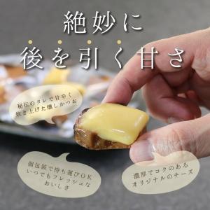 送料無料 チーズかつお 220g 13〜16個...の詳細画像3