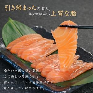 サーモンスライス 80g(8g×10切入) お...の詳細画像3