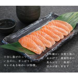 サーモンスライス 80g(8g×10切入) お...の詳細画像5
