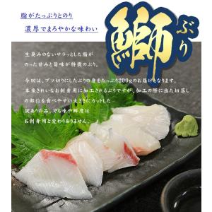 国産 ぶりブツ切り200g お刺身 訳あり 鰤...の詳細画像4