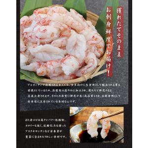 今だけ送料無料 エビ 刺身 赤エビ むき身 1...の詳細画像5