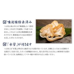 2個買うと使える500円OFFクーポン ツブ貝...の詳細画像5