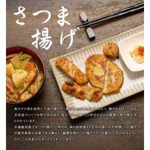 さつまあげミックス 1kg 訳あり 送料無料 ...の詳細画像5