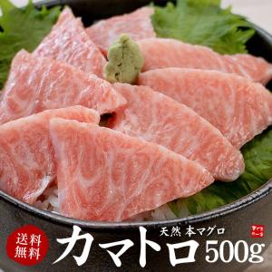 カマトロ 天然本まぐろ カマトロ500g  刺身 食べ物〈bf1〉yd9[[天然本マグロカマトロ500g]