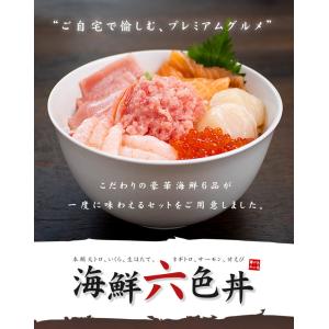 お中元 ギフト 海鮮六色丼セット 本マグロ大ト...の詳細画像2