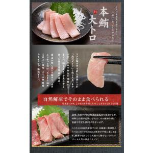 お中元 ギフト 海鮮六色丼セット 本マグロ大ト...の詳細画像5