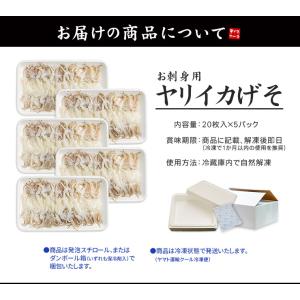 ヤリイカげそ20枚入り×5パック お刺身 自然...の詳細画像1