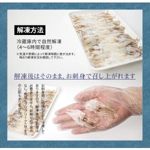 ヤリイカげそ20枚入り×5パック お刺身 自然...の詳細画像5