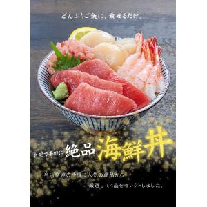 海鮮 マグロ中トロ ネギトロ 生ほたて 甘えび...の詳細画像2