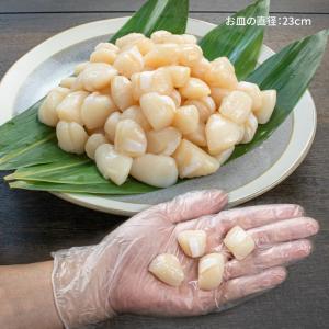 生小柱 500g イタヤガイ貝柱 生食OK ※...の詳細画像2