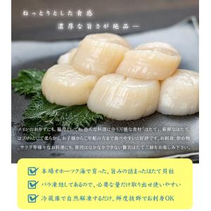 クーポン使用で1,000円OFF ホタテ ほた...の詳細画像3