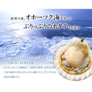 クーポン使用で1,000円OFF ホタテ ほた...の詳細画像4