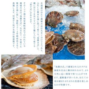 クーポン使用で1,000円OFF ホタテ ほた...の詳細画像5