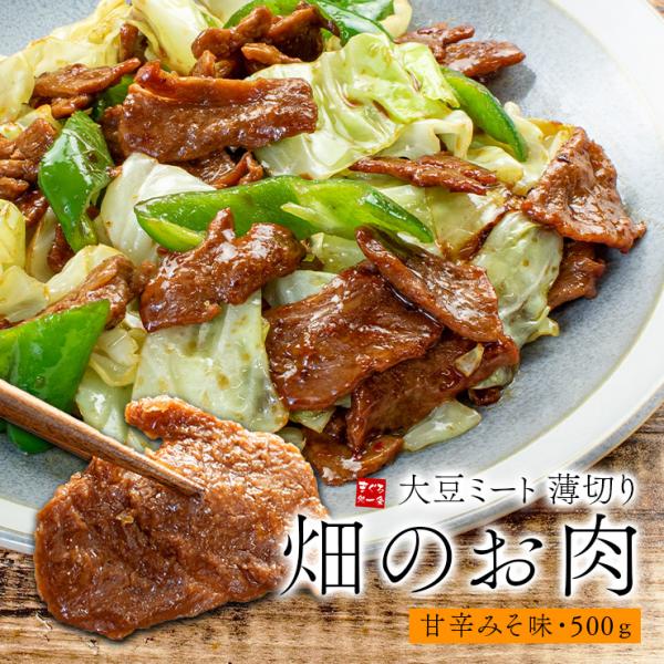 畑のお肉 500g 甘辛みそ味 大豆ミート ポスト投函 送料無料 常温 同梱不可 ギフト不可 [[畑...