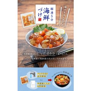 ぶっかけ海鮮づけ 5人前(100g×5パック)...の詳細画像5