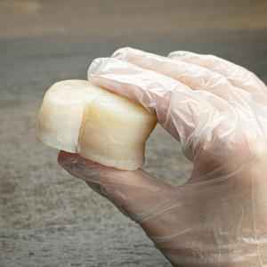 平貝 貝柱 500g 8〜10玉 お刺身用 ※...の詳細画像2