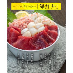 お中元 ギフト 天然本マグロ&南マグロ!海鮮セ...の詳細画像4