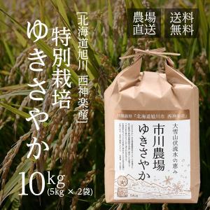 ゆきさやか 10kg 市川農場が世に出したお米です【農家直送】【北海道旭川産】【送料無料】｜ichikawa-farm