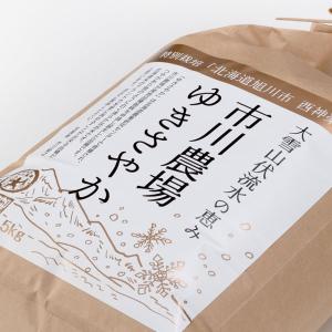 【新米】ゆきさやか 10kg 市川農場が世に出...の詳細画像1