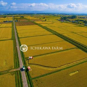 新米ゆめぴりか 10kg 送料無料 北海道米 ...の詳細画像5