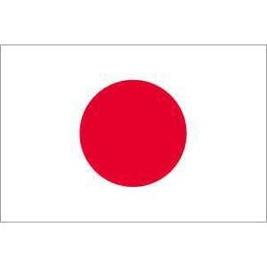 TOSPA 応援日本国旗 袋仕立て 43.5×67.5cm 2本組立式外径15mmポール