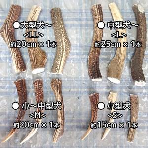 鹿の角 犬 おもちゃ 噛む おやつ 犬 デンタ...の詳細画像2