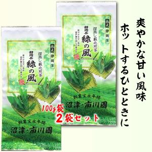 緑茶 静岡茶  いろり100g入×2袋セット メール便 送料無料 代引不可 茶葉 やや深蒸し茶｜ichikawaen