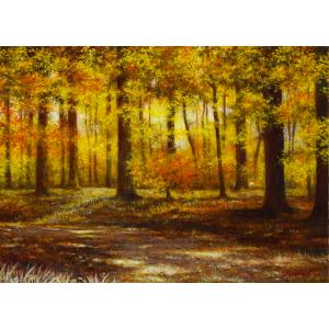 杉本ひろみ、【富士（夢彩戯曲）】、希少な画集画、新品高級額 額装付 杉本ひろみ【夢彩戯曲 富士】希少画集画、状態良好、新品高級額装付 杉本