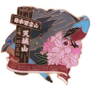 ピンバッジ 日本百名山 光岳 1段 ピンズ エイコー コレクションケース