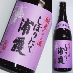 浦霞　しぼりたて純米生酒　【季節限定】　720ml