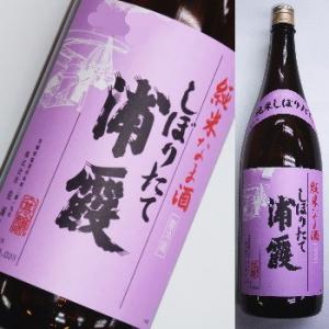 浦霞　しぼりたて純米生酒　【季節限定】　1800ml