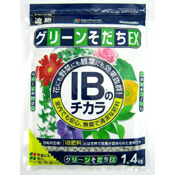 花ごころ:IBのチカラグリーンそだちEX 1.4kg 4977445054003 肥料 室内 インテ...