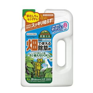 住友化学園芸:畑で使える除草剤グリーンスキットシャワー 2L 4975292603856 畑 農園 雑草 除草 菜園 野菜づくり｜ichinennet-plus