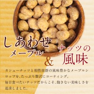 豆菓子 メープルカシューナッツ 94g (47...の詳細画像1