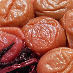 訳あり 紀州南高梅 しそ梅 塩分13% 100g...の商品画像