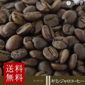 014151.com（おいしいコーヒードットコム） コーヒー豆 ホンジュラス