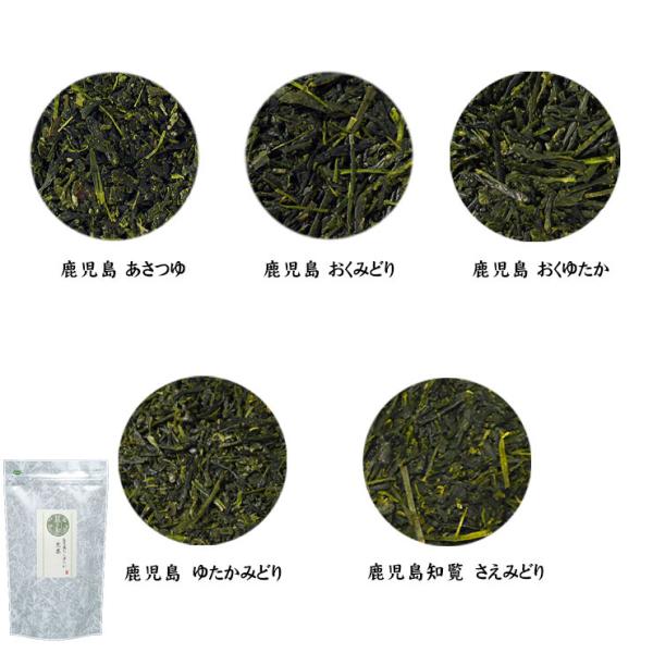 選べる品種茶 100g×2種 鹿児島煎茶 品種 あさつゆ おくみどり おくゆたか ゆたかみどり さえ...