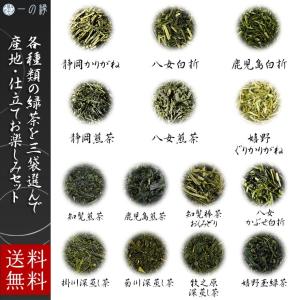 日本茶 選べる茶葉 100g×3袋(300g) 静岡 八女 鹿児島 知覧