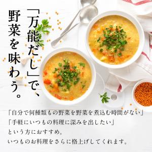 三幸産業 幸だし 野菜(特選 野菜ふりだし) ...の詳細画像2