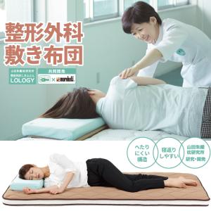 丸八真綿 【リニューアル!】 超コンパクト! 5つ折り敷布団 羊毛