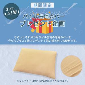 ビッグフェザー枕 枕 まくら 傾斜 逆流性食道...の詳細画像1