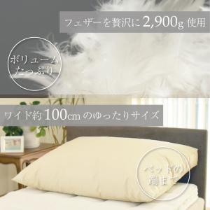 ビッグフェザー枕 枕 まくら 傾斜 逆流性食道...の詳細画像4