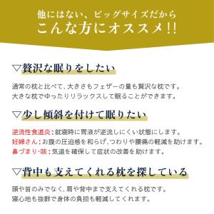 ビッグフェザー枕 枕 まくら 傾斜 逆流性食道...の詳細画像5