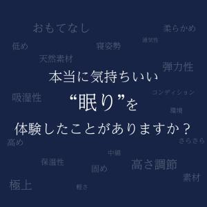 【レビュー特典付 ピロケース】 丸八真綿 枕 ...の詳細画像1