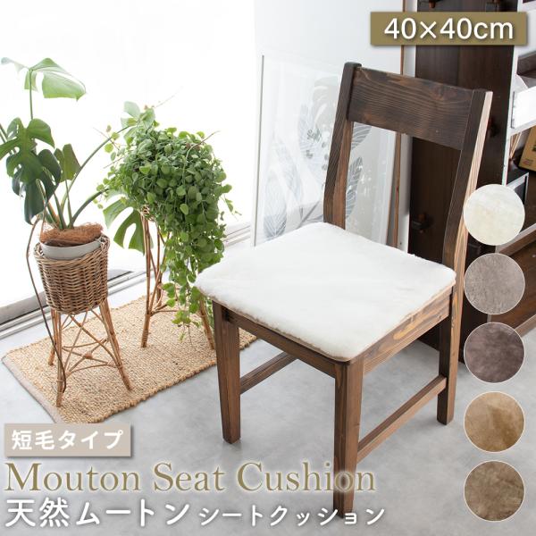 ムートン シートクッション 角形 40×40cm 短毛 単品1枚 クッション ムートンクッション か...
