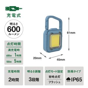 ≪メール便≫ 【アウトレット価格】 期間限定特...の詳細画像2
