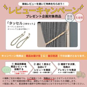 【レビュー特典付 タッセル】 間仕切カーテン ...の詳細画像1