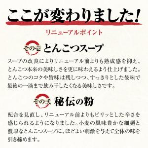 ラーメン 一蘭 博多細麺ストレート 5食入 とんこつの詳細画像2