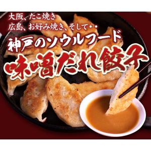 味噌だれ 餃子 50個 800g 冷凍 化粧箱...の詳細画像3