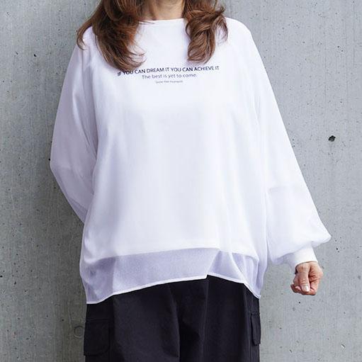 PASSIONE パシオーネ シアー レイヤード 長袖カットソー きれいめコーデ 大人カジュアル 6...